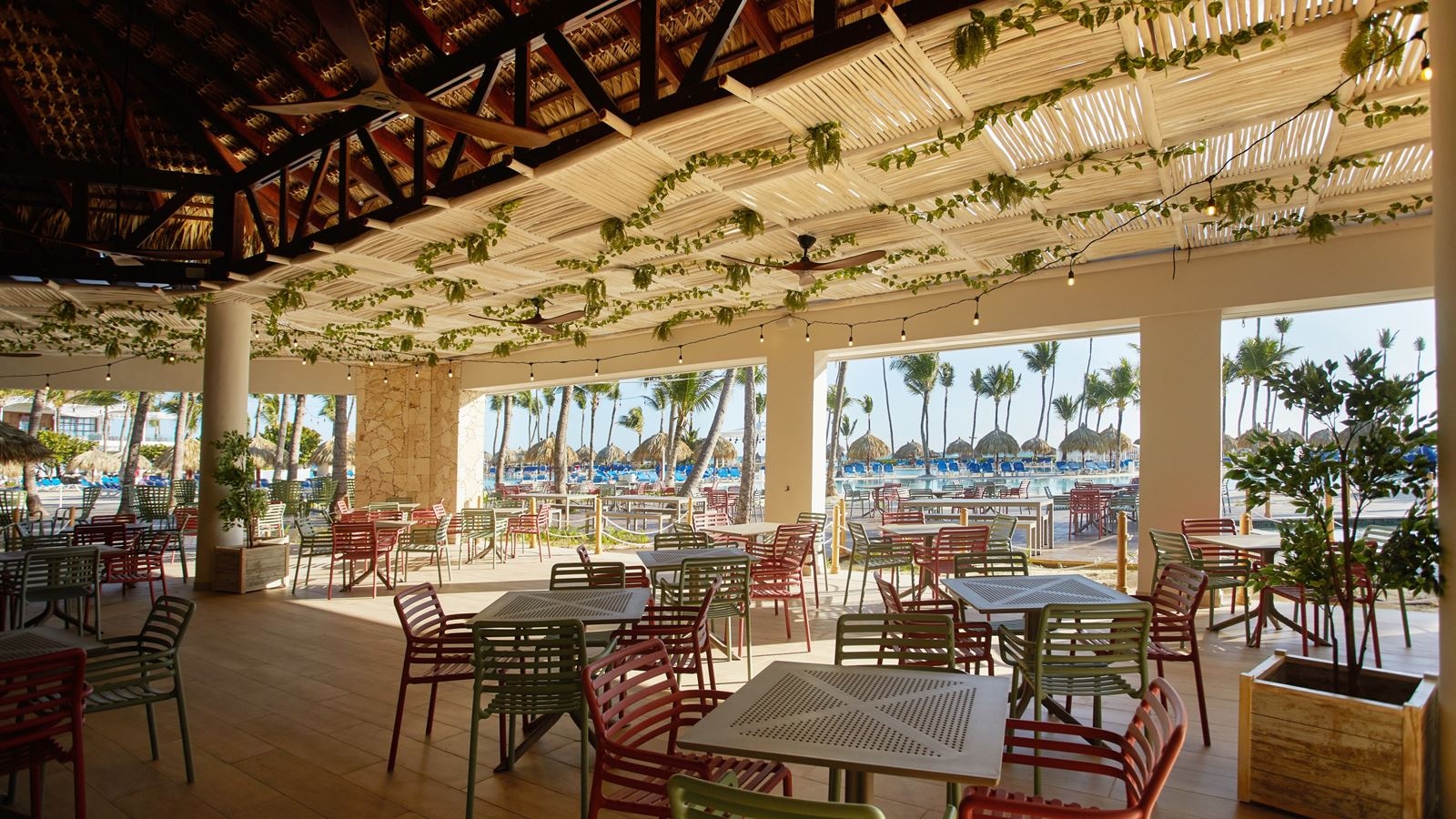 restaurants-snack-night