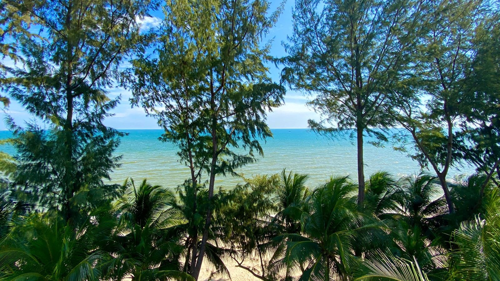 rooms-novela-suite-seaview