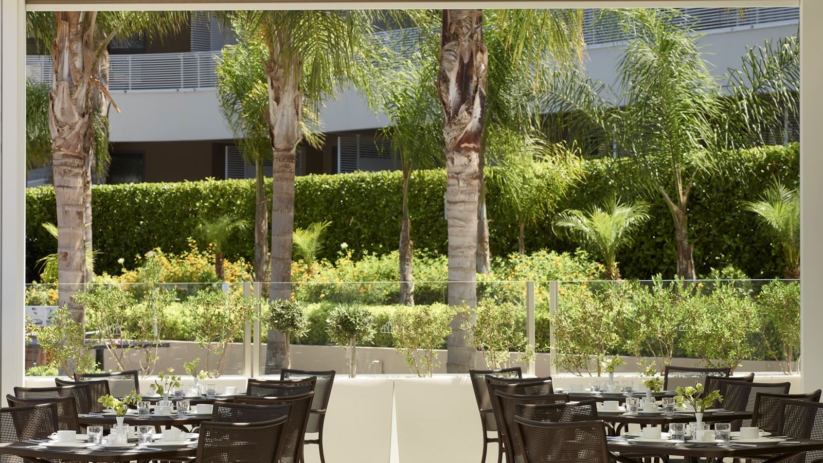 restaurants-medallion