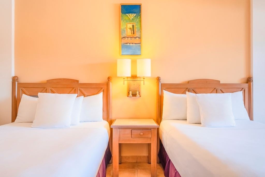 rooms-premium-tropical-view