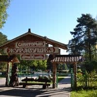 Общий preview